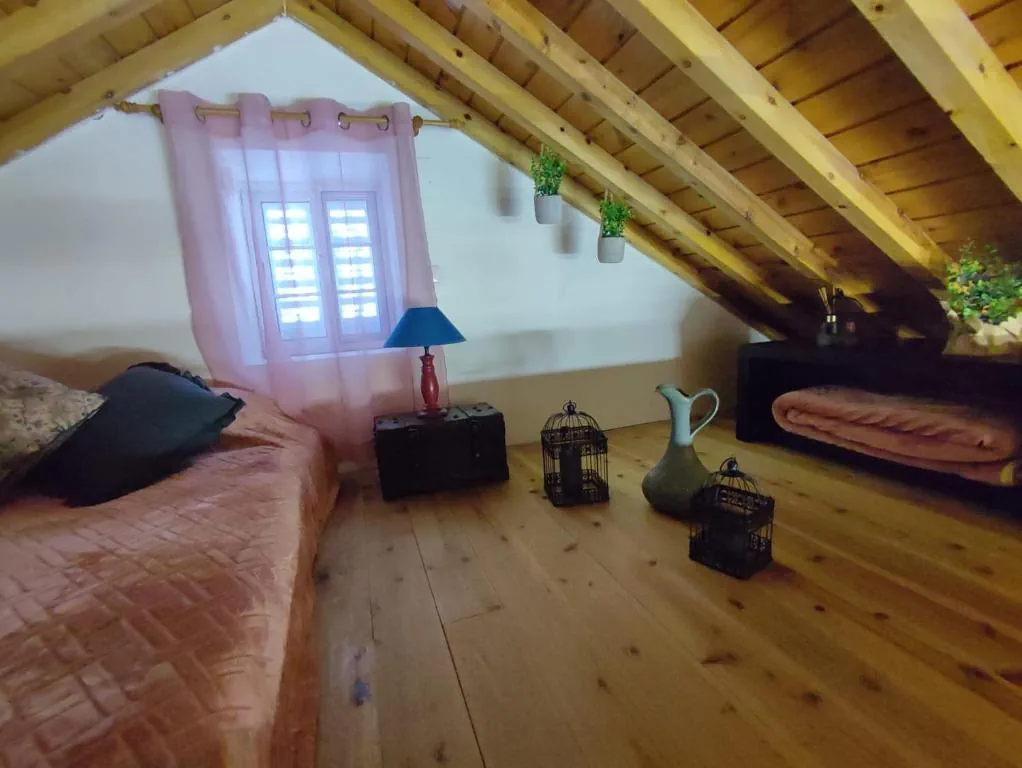 casa-caminho-da-barca-19